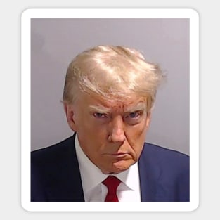 Trump Mugshot Sticker